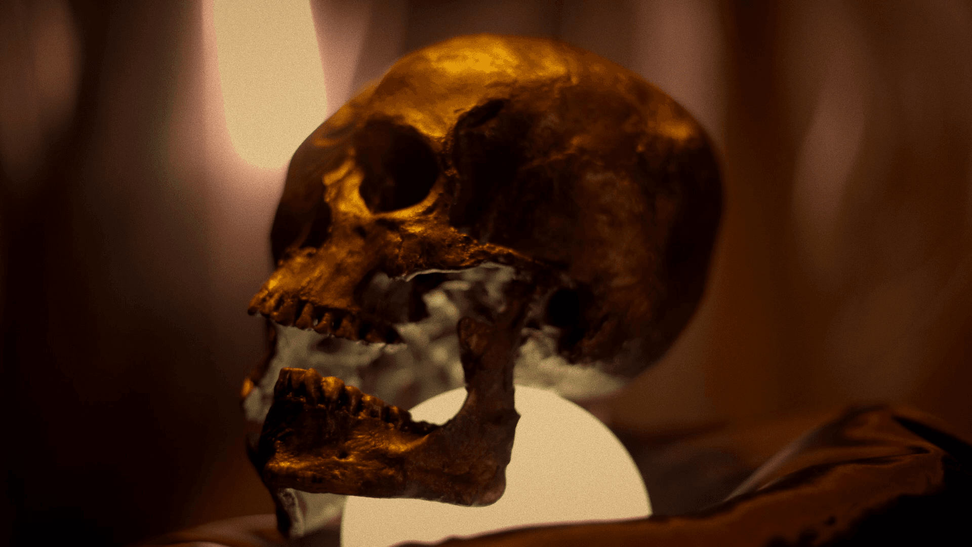Carusel Item